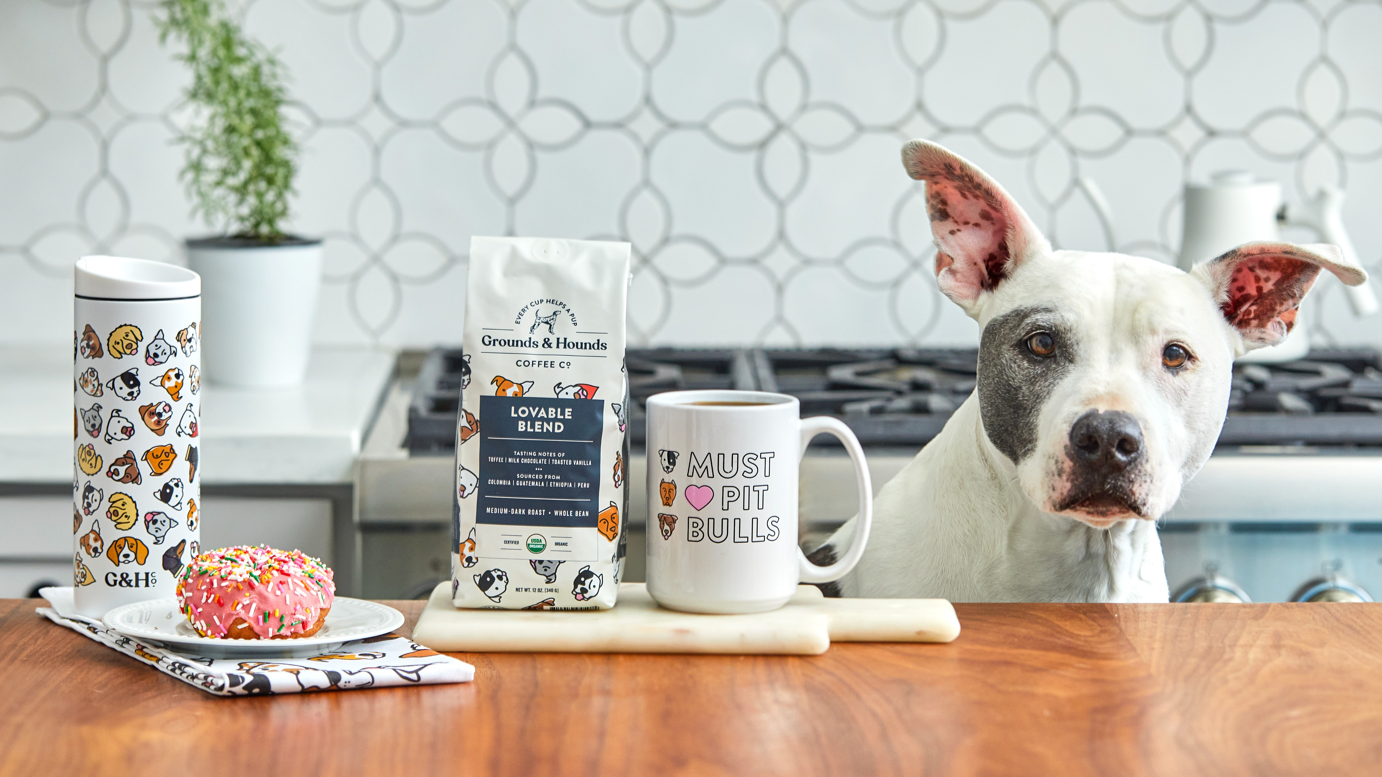 outline of a picture of a smiling dog on colorful background